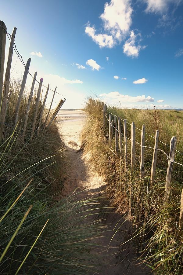 Beach Photograph - Pathway To The Beach, Beadnell by John Short