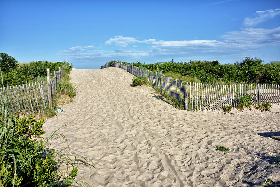 Pathway to the beach - Delaware Photograph by Brendan Reals