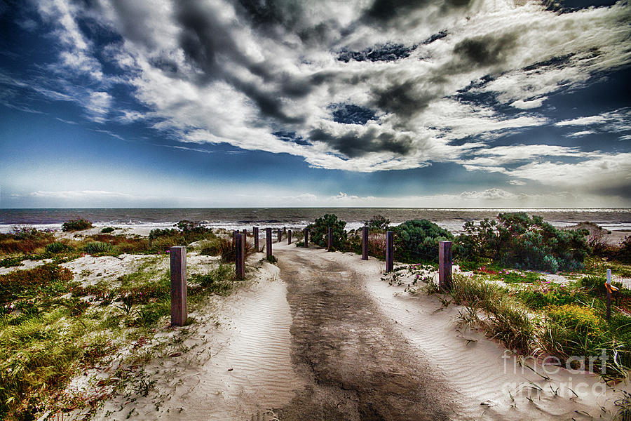 Pathway to The Beach Photograph by Douglas Barnard
