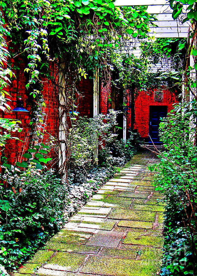 Pathway to the Blue Door Photograph by Steve C Heckman