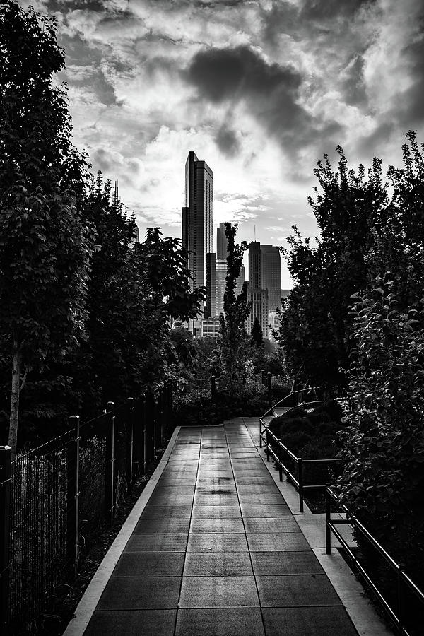 Pathway to the Chicago Skyline in Black and White Photograph by Anthony Doudt