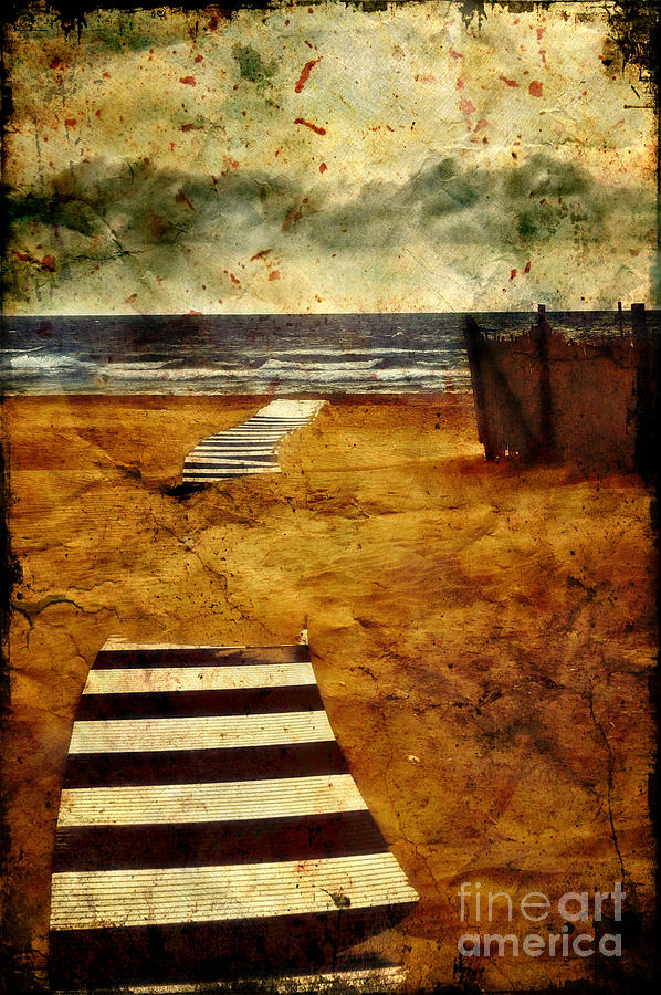 Pathway to the sea II Photograph by Silvia Ganora