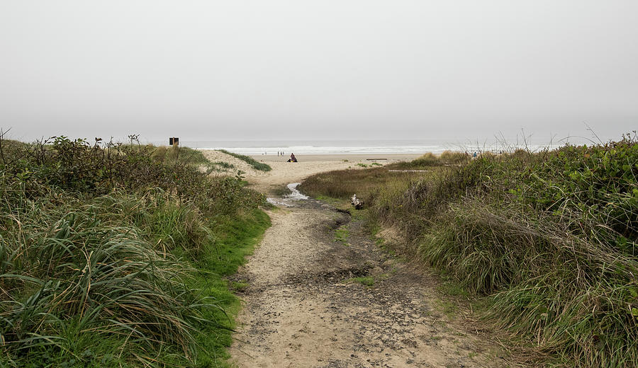 Pathway to the Sea Photograph by Tom Cochran