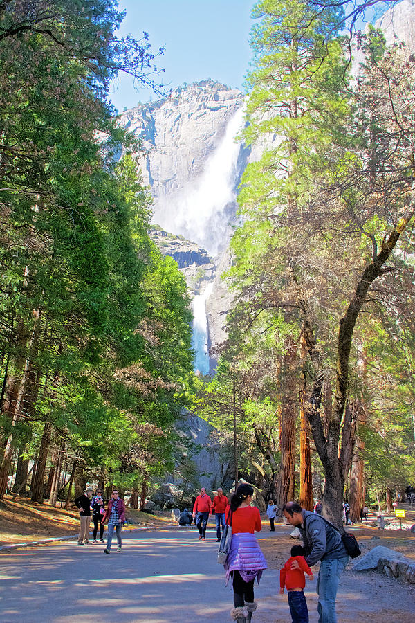 Pathway to Yosemite Falls inYosemite National Park, California Photograph by Ruth Hager