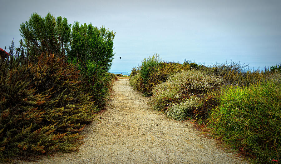 Pathway To Zuma Beach Photograph by Glenn McCarthy Art and Photography