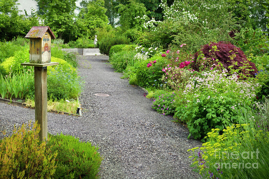 Pathways in a Summer Garden Photograph by Maria Janicki