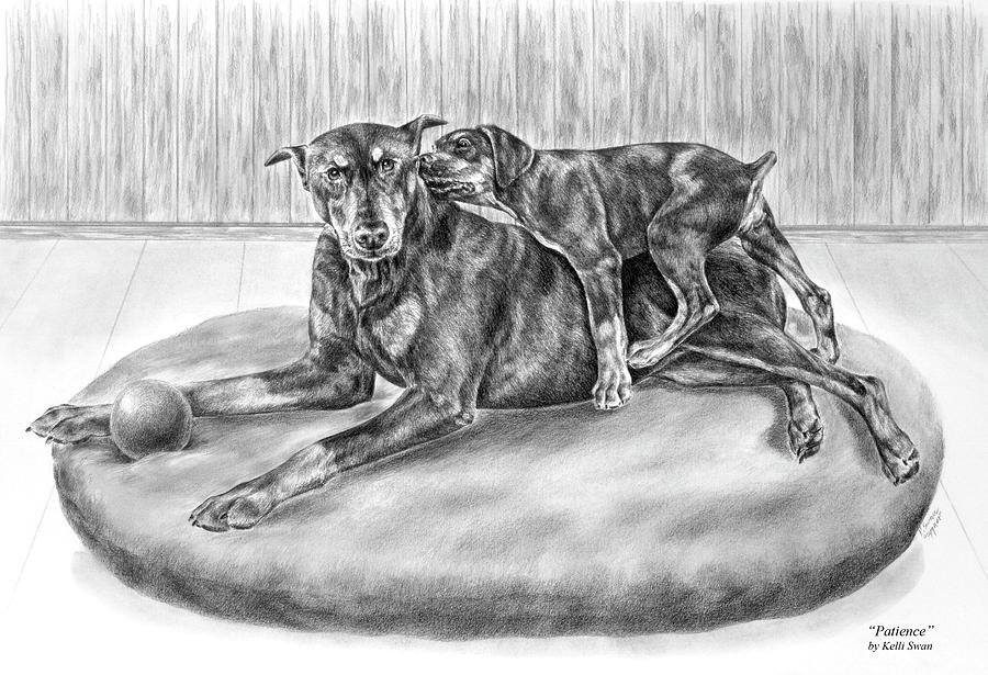 Patience - Doberman Pinscher and Puppy Print Drawing by Kelli Swan