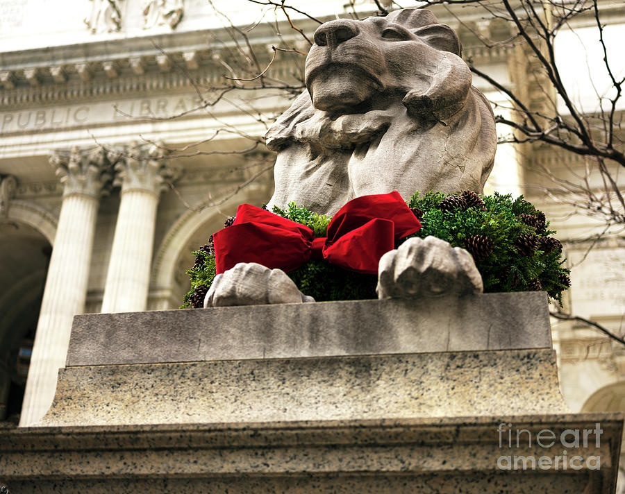 Patience Christmas Wreath New York City Photograph by John Rizzuto