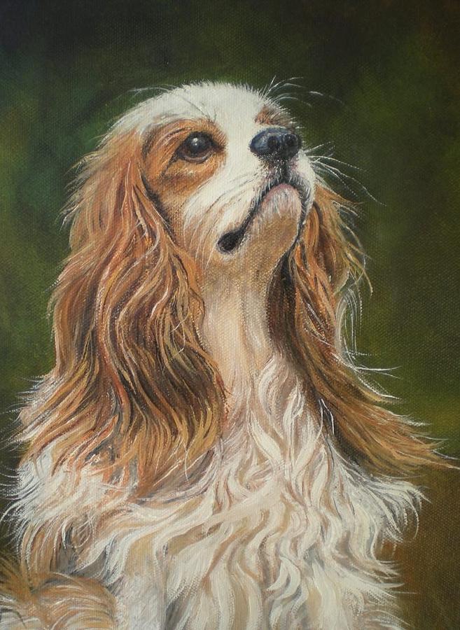 Dog Painting - Patience by Dianne Duggan