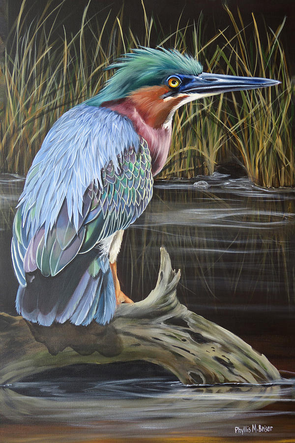 Green Heron Painting - Patience by Phyllis Beiser Green Heron Painting - Patience by Phyllis Beiser
