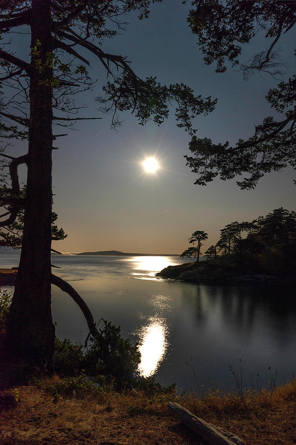 Patos Moonlight Photograph by Geoffrey Ferguson