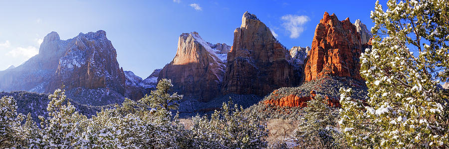 Nature Photograph - Patriarchs by Chad Dutson