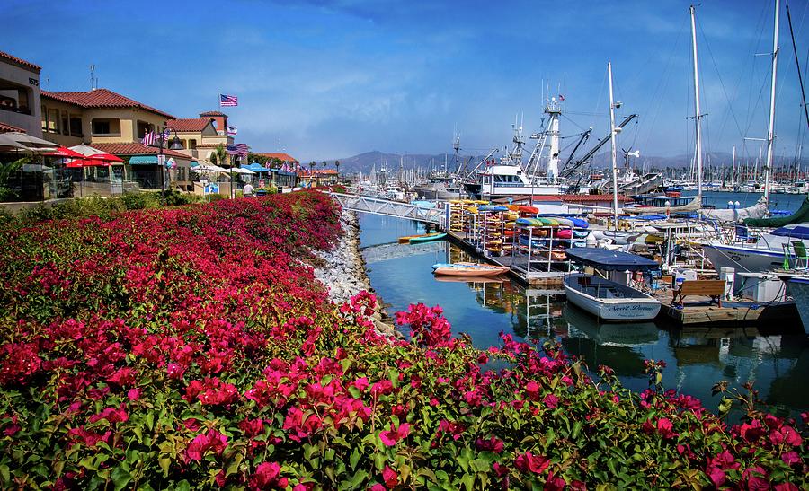 Patriotic Days at the Ventura Harbor Photograph by Lynn Bauer