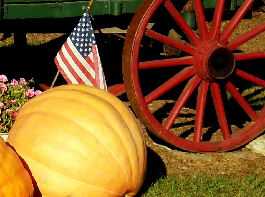 Patriotic Fall Photograph by Lois Lepisto