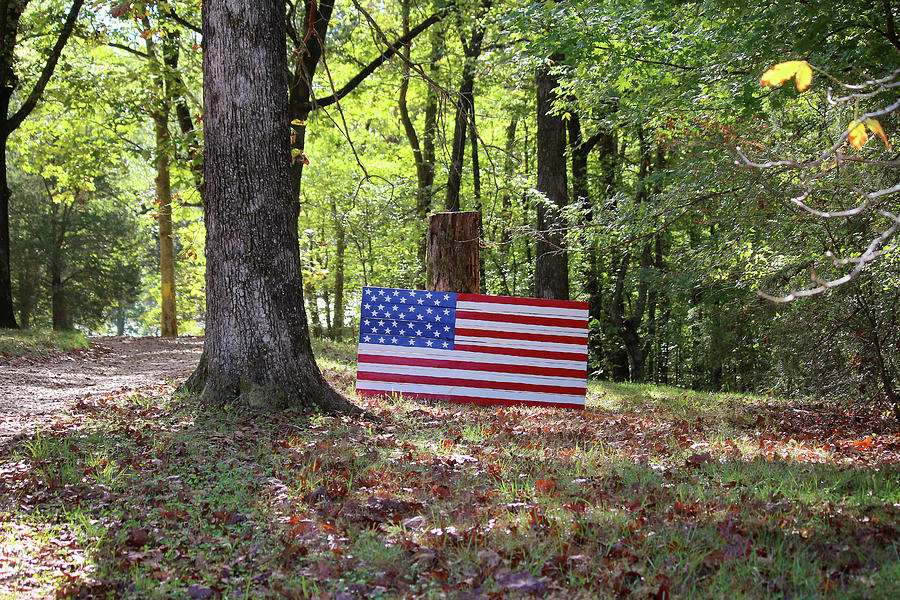 Patriotic Flag in Kentucky Photograph by Art Block Collections
