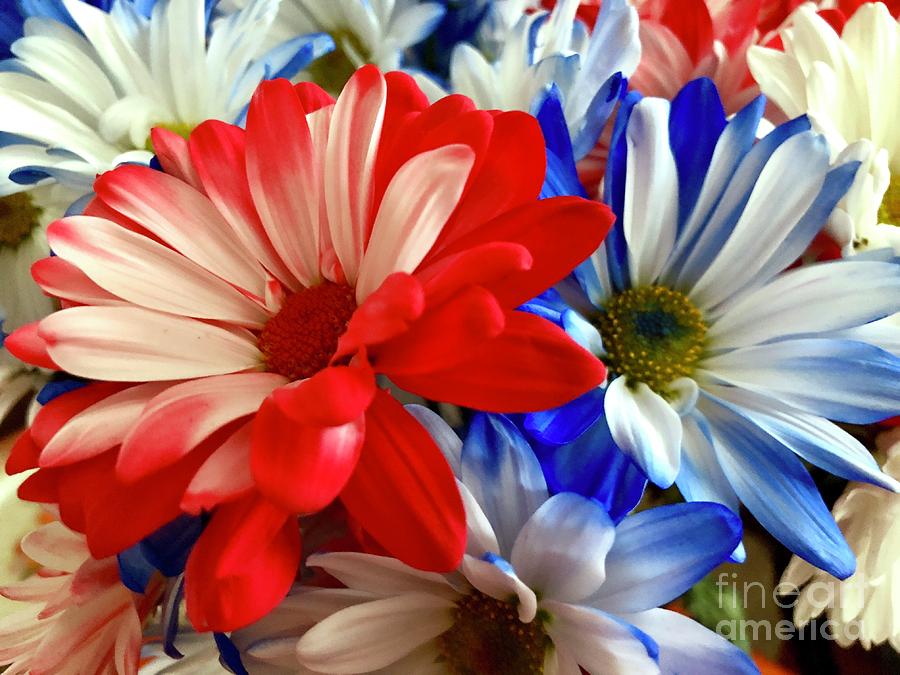 Patriotic Flowers Photograph by CAC Graphics