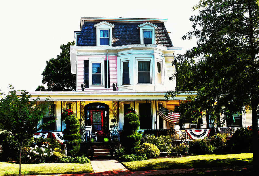 Patriotic House #2 Photograph by Susan Vineyard
