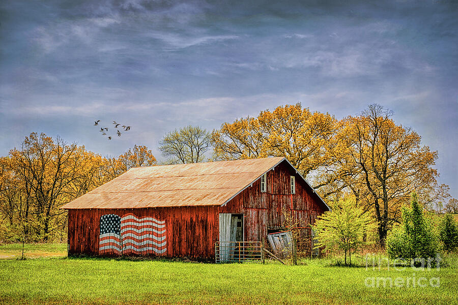 Patriotic Kentucky Barn Photograph by Priscilla Burgers