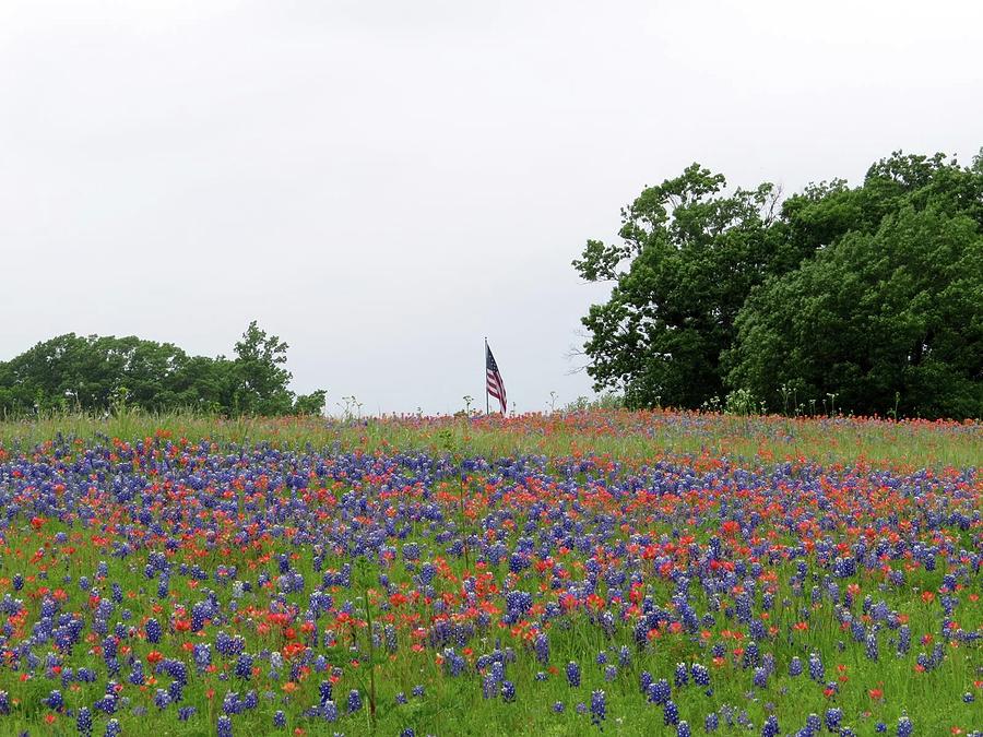 Patriotic Landscape Photograph by Carol Milisen - Fine Art America