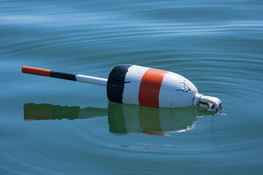 Patriotic Lobster Buoy Photograph by Linda Cullivan - Pixels