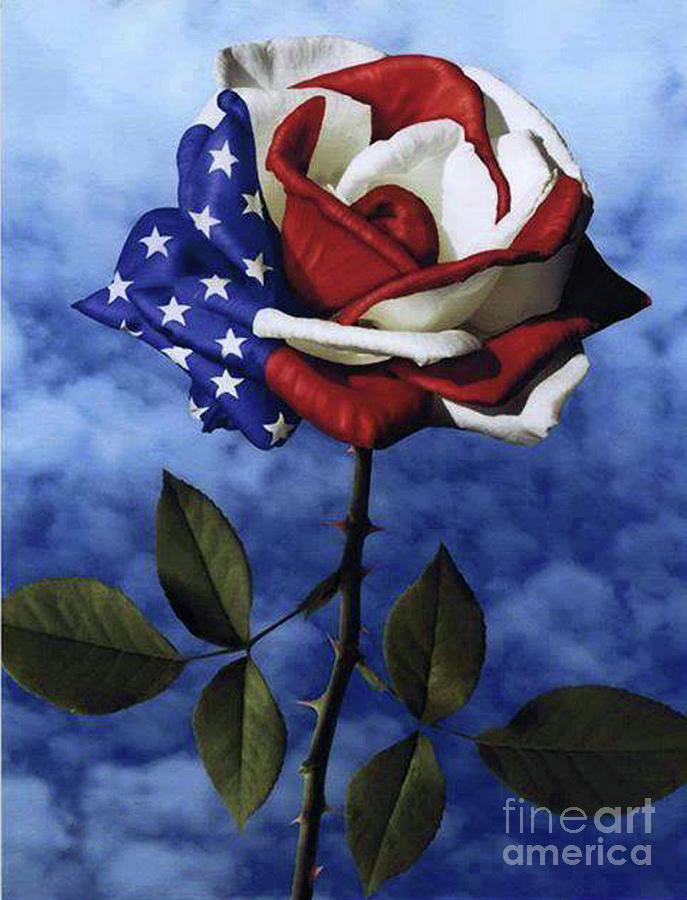 Patriotic Rose  #2 Painting by Herb Strobino