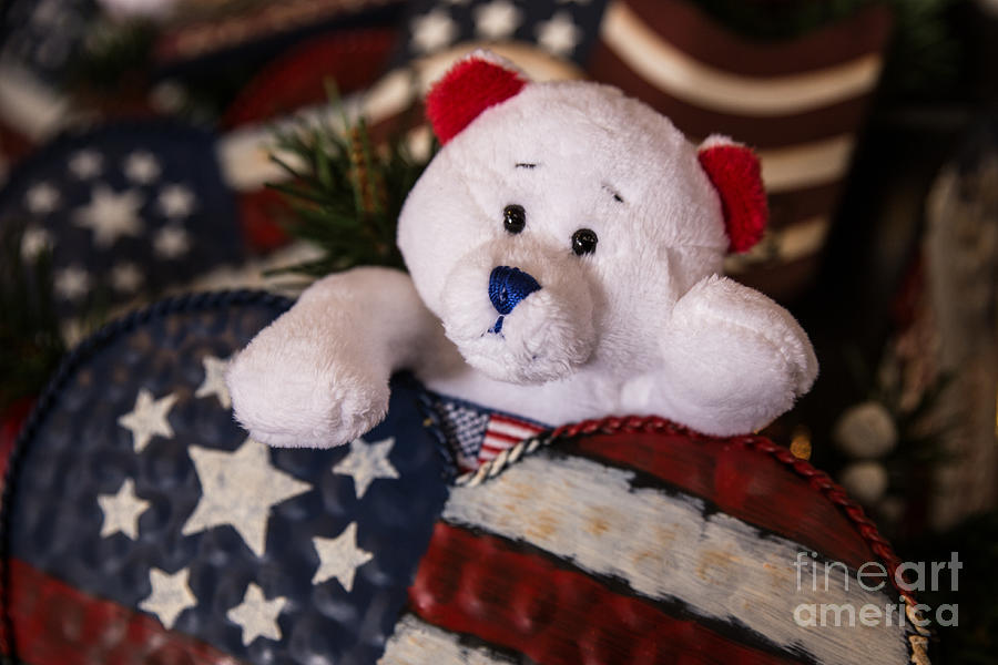 Patriotic Teddy Bear Photograph by Lynn Sprowl