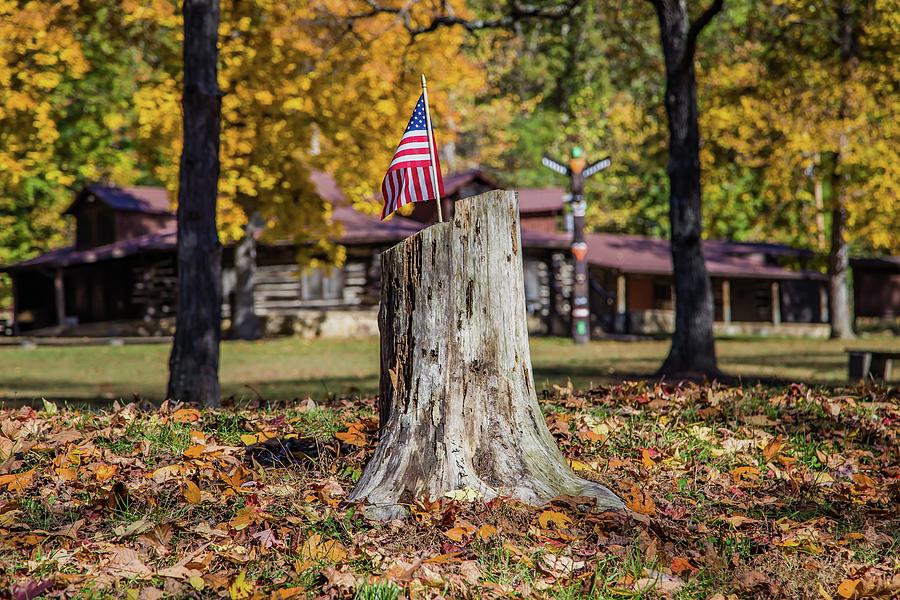 Patriotic Tree Stump Photograph by Kevin Craft