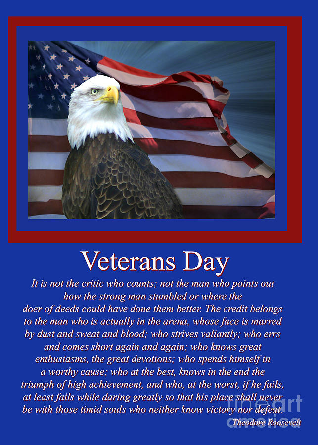 eagles veterans day hoodie