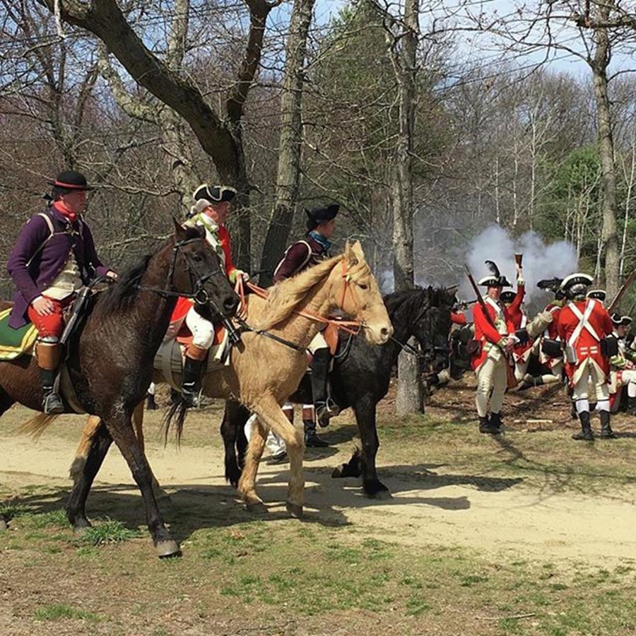 Horse Photograph - #patriotsday #battleroad #demonstration by Patricia And Craig