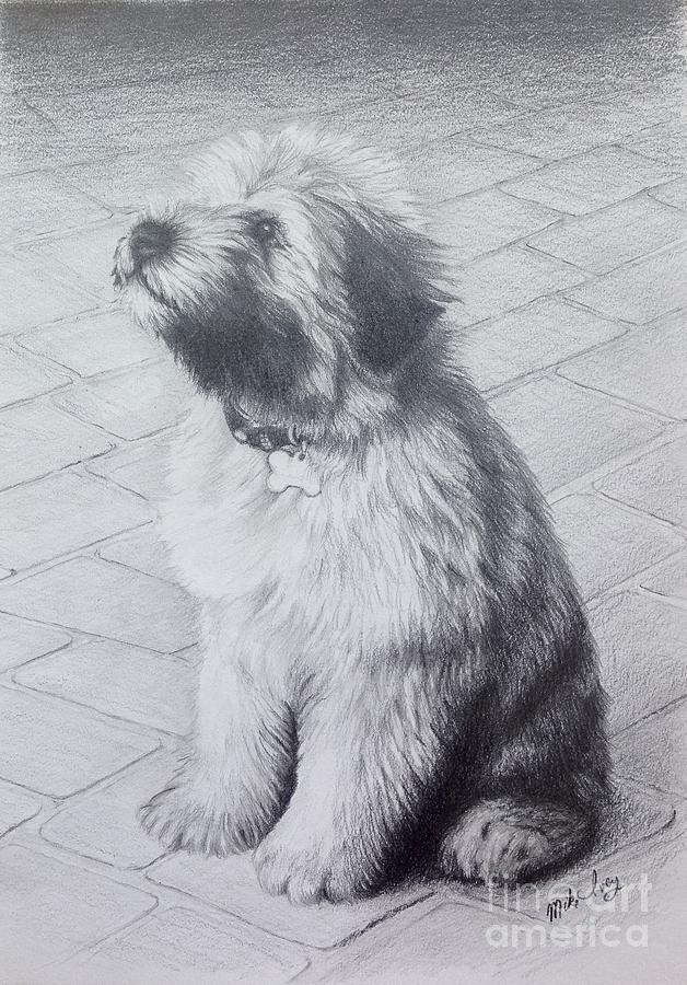 Patsys Puppy Drawing by Mike Ivey