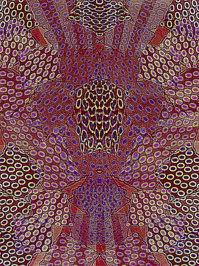 Pattern Digital Art by Cooky Goldblatt