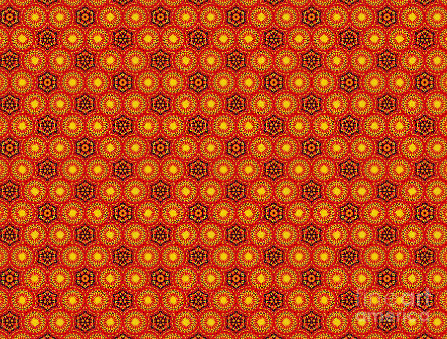 Pattern from a Sunflower by Kaye Menner Photograph by Kaye Menner