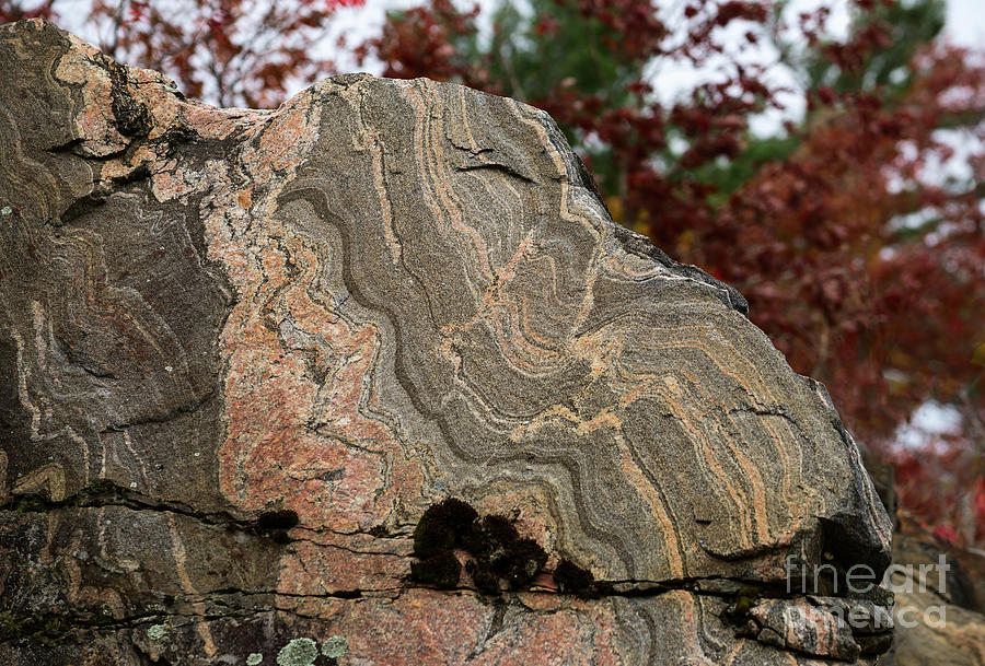 Pattern in a gneiss rock Photograph by Les Palenik