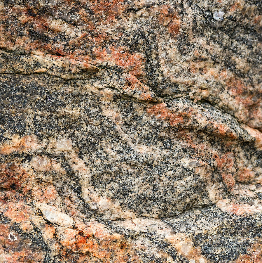 Abstract Photograph - Pattern in a granite rock - square format by Les Palenik