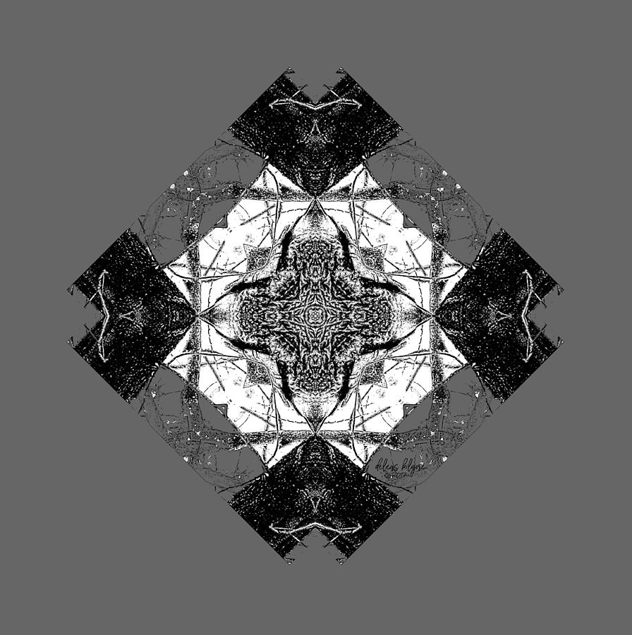 Pattern in Black White by Deleas Kilgore Pattern in Black White by Deleas Kilgore