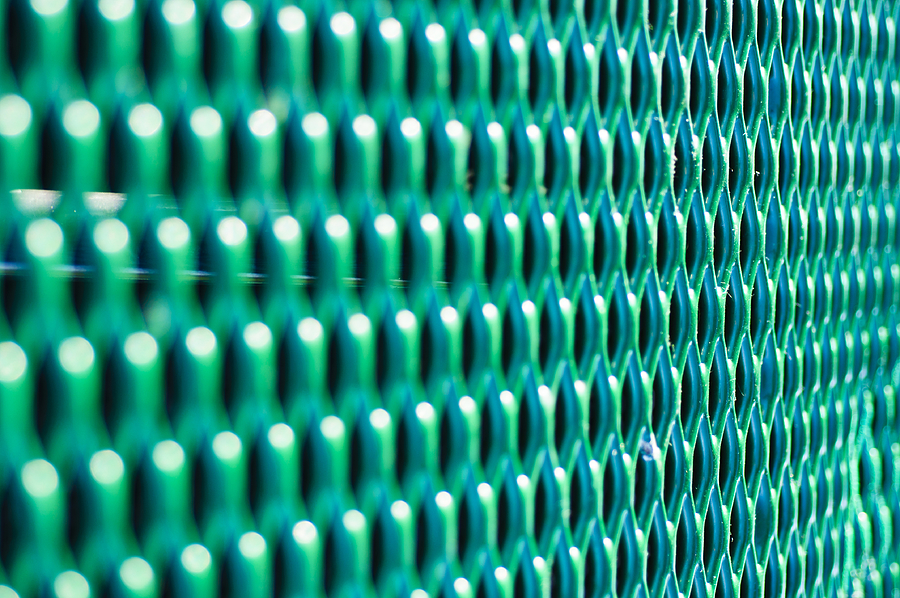 Pattern in Green Photograph by Christi Kraft