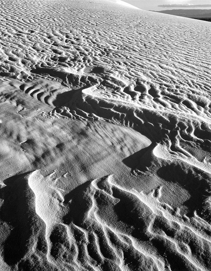 214826-Pattern in Sand  Photograph by Ed  Cooper Photography