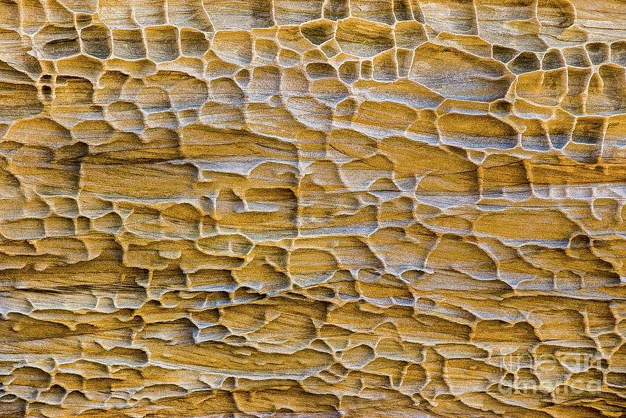Pattern in Sandstone Photograph by Werner Padarin