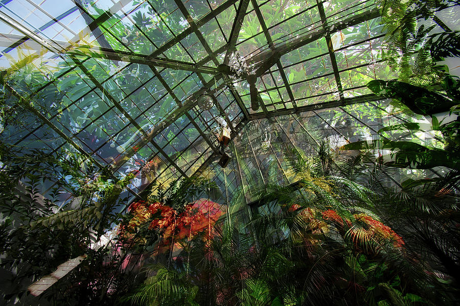 House of Glass Photograph by Daniel Gundlach - Pixels