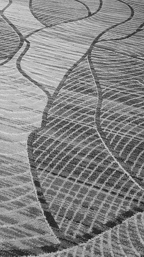 PATTERNS in  B W  Photograph by Rob Hans