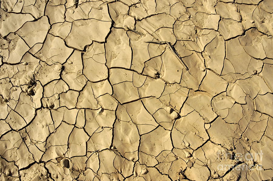 Patterns in dry cracked soil Photograph by Sami Sarkis Photography Patterns in dry cracked soil Photograph by Sami Sarkis Photography