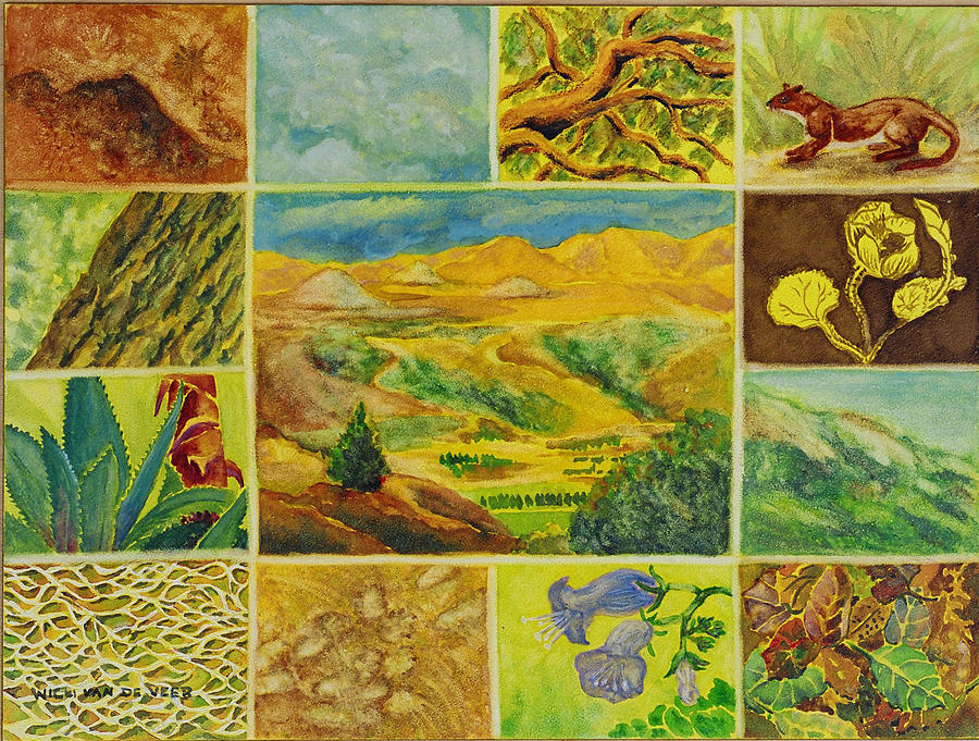 Patterns in Nature Dorland Mountain Painting by Wicki Van De Veer
