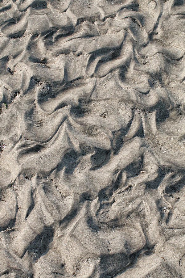 Patterns in Sand 4 Photograph by William Selander