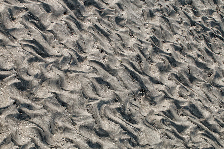 Patterns in Sand 5 Photograph by William Selander