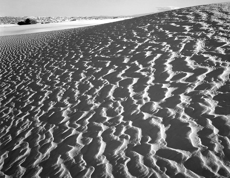 214827-BW-Patterns in Sands  Photograph by Ed  Cooper Photography