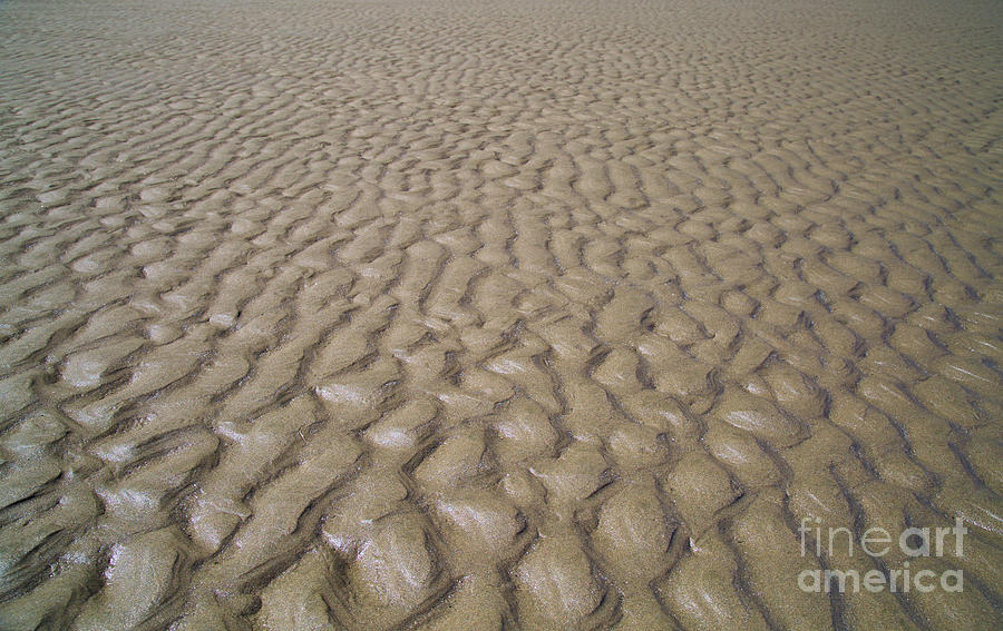 Patterns In The Sand Photograph by Bruce Block
