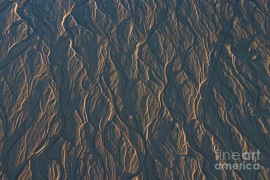 Patterns in the sand Photograph by David Bishop