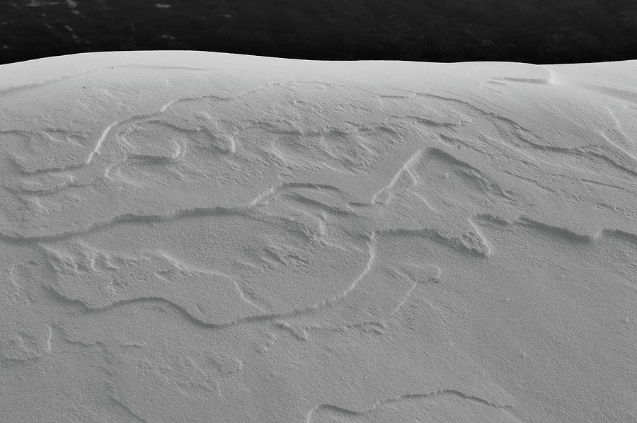Patterns In The Snow BW  Photograph by Lyle Crump