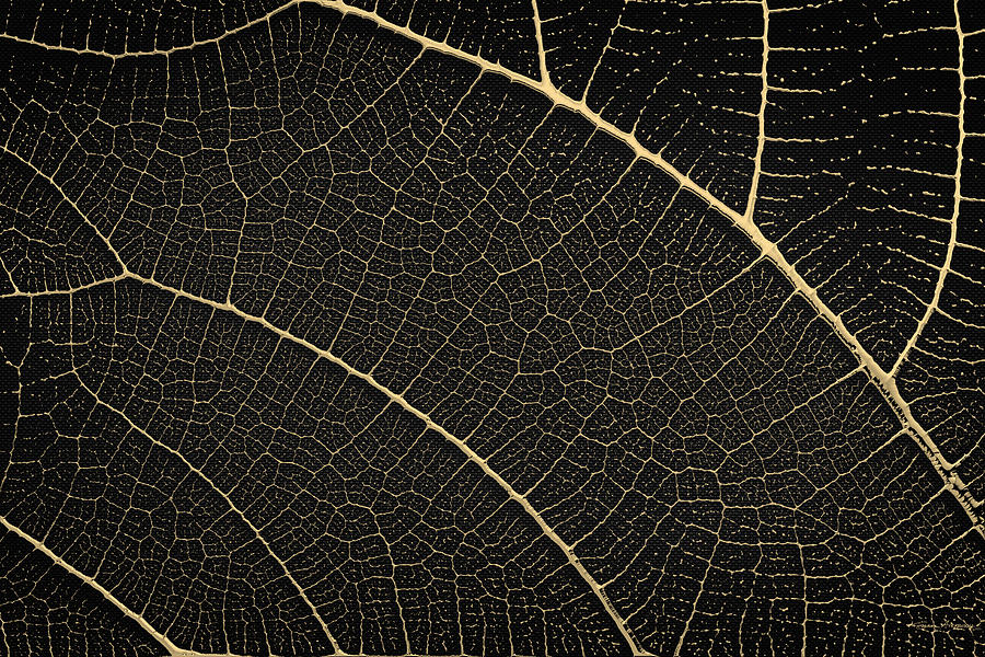 Patterns of Nature - Leaf Veins in Gold on Black Canvas No. 1 Digital Art by Serge Averbukh