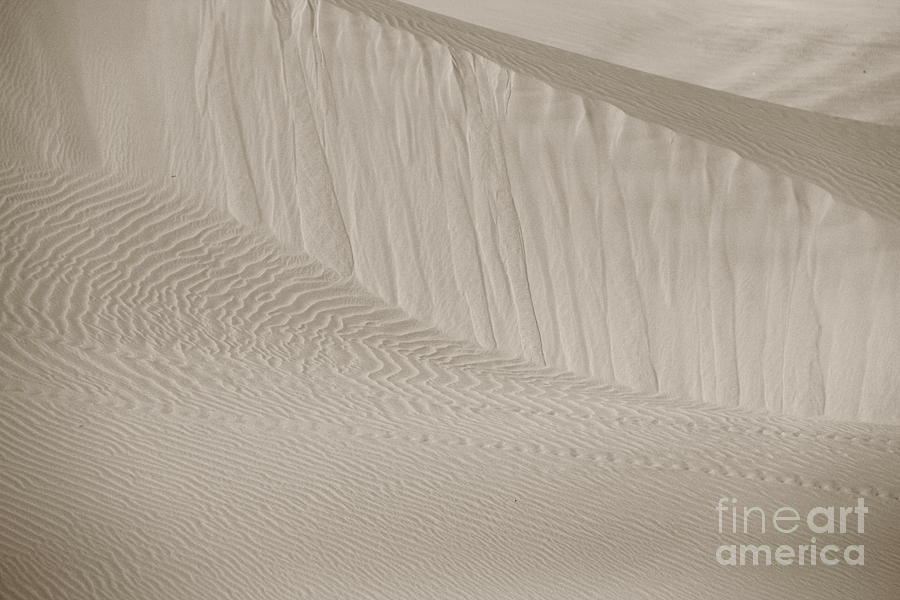 Patterns of Sand Photograph by Suzanne Oesterling